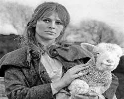 She is an advocate of animal rights and environmental protection.